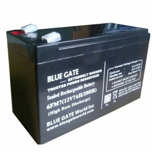 BLUE GATE 7AMPS BATTERY