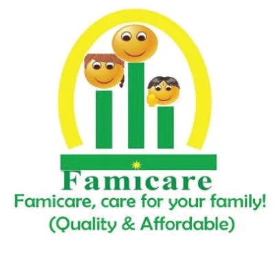 Famicare Inverter | 1000watts 12v modified wave inverter with inbuilt charger - Image 4